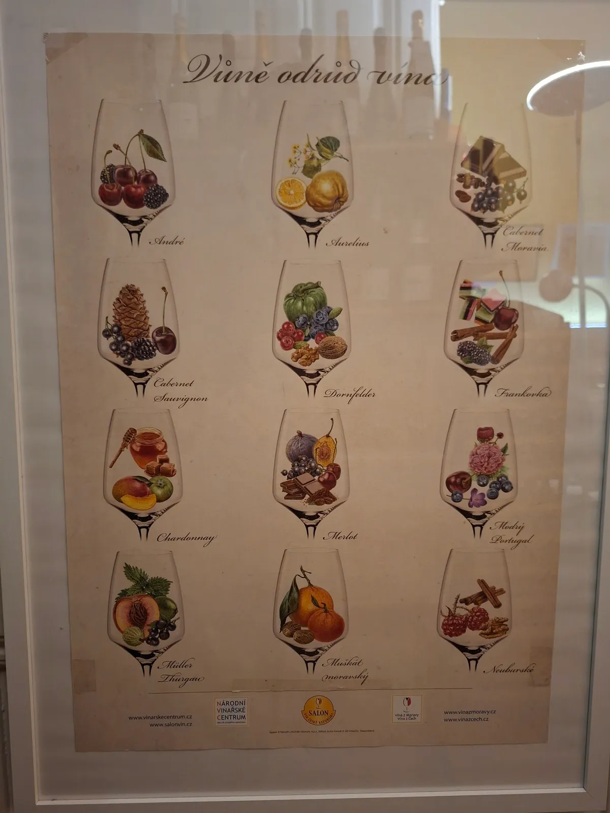 Nástěnný plakát s ilustracemi vinných aromatických profilů.