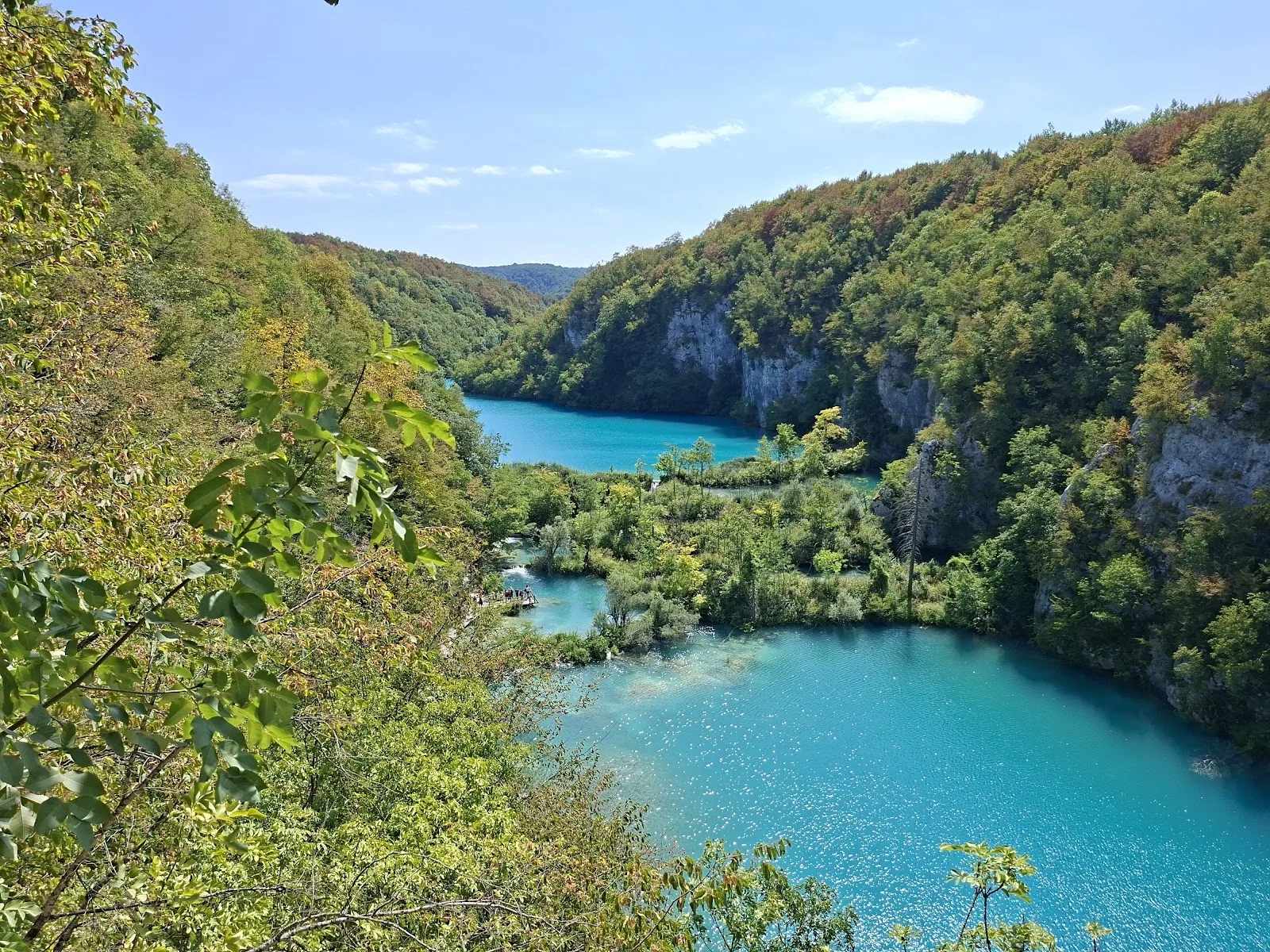 Turquoise lakes winding through verdant forest