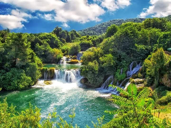 Vibrant Krka waterfalls amidst lush green forest