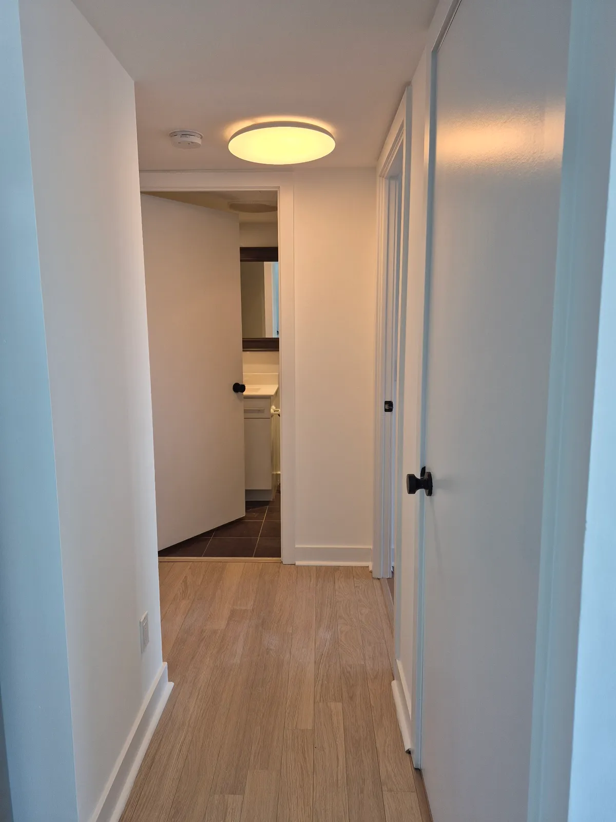 Modern apartment hallway with light wood flooring