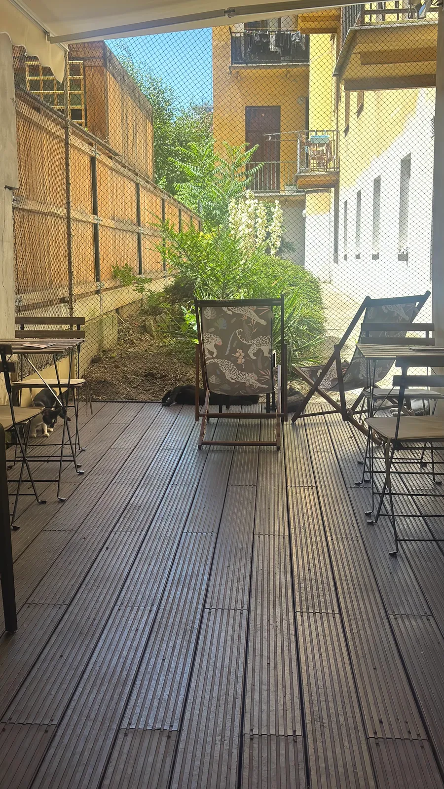 Slunná terasa s kočkami a pohodlným posezením.